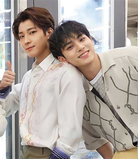 wonwoo mingyu ao3.